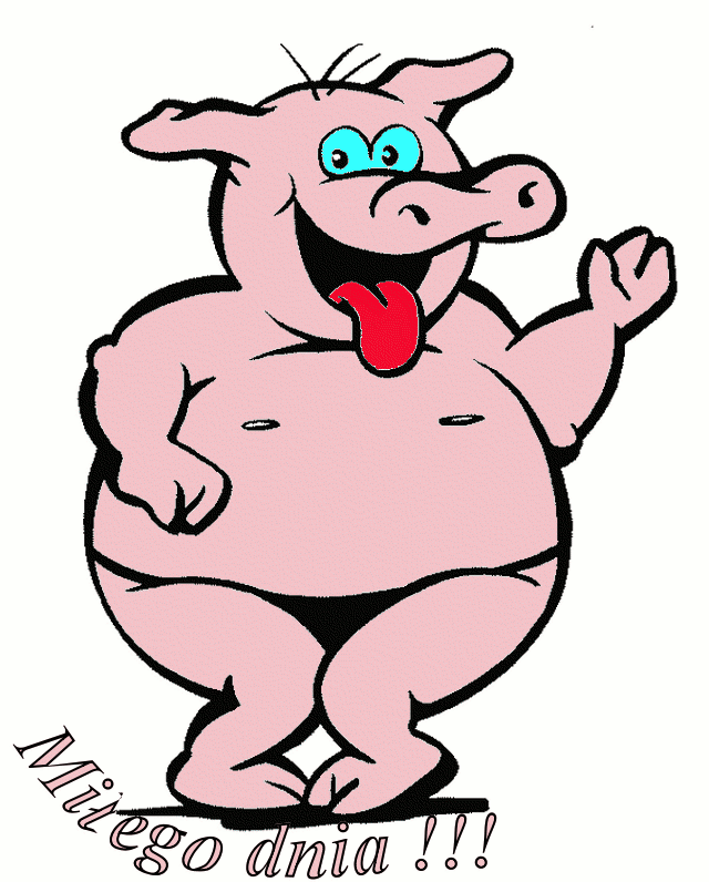 Miłego dnia życzy świnia